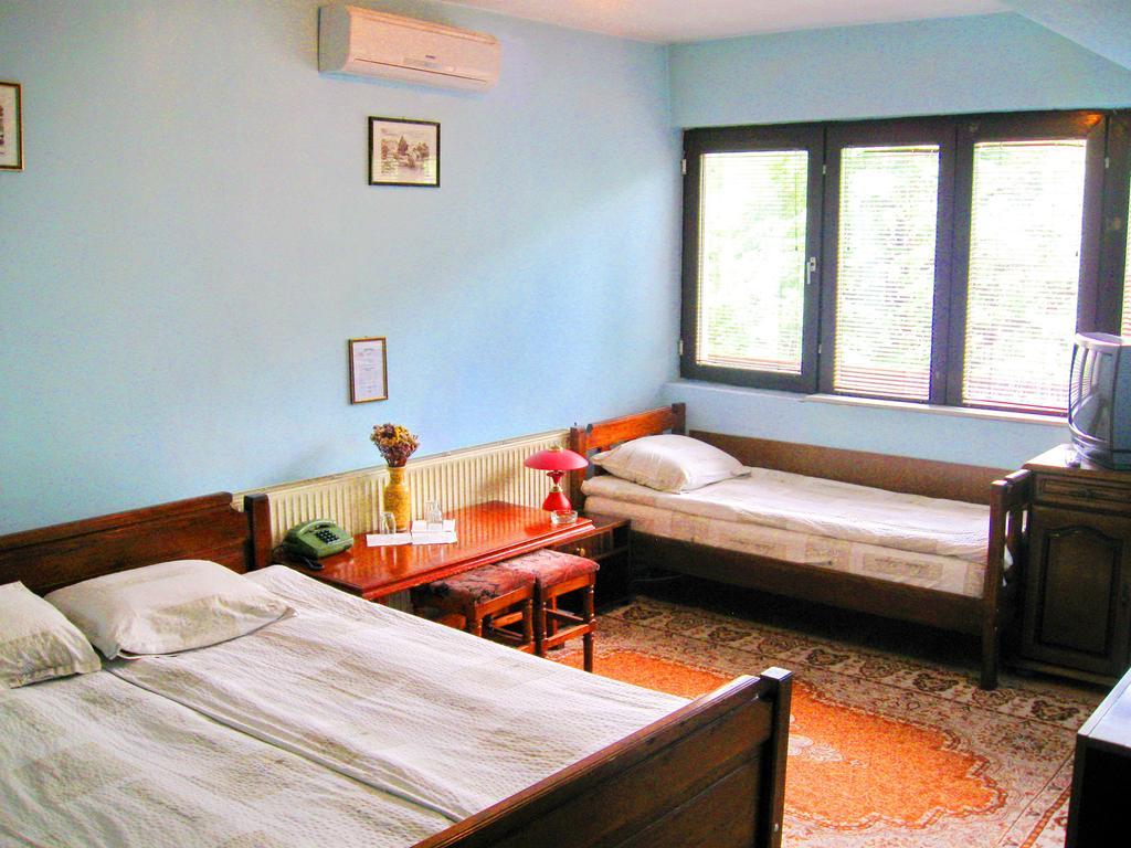 Amfora Rooms Caribrod Dimitrovgrad Room photo